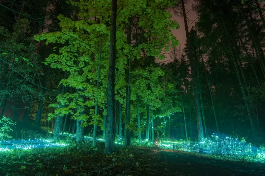 VIŅSAULE. VEĻI — pasākuma foto 18