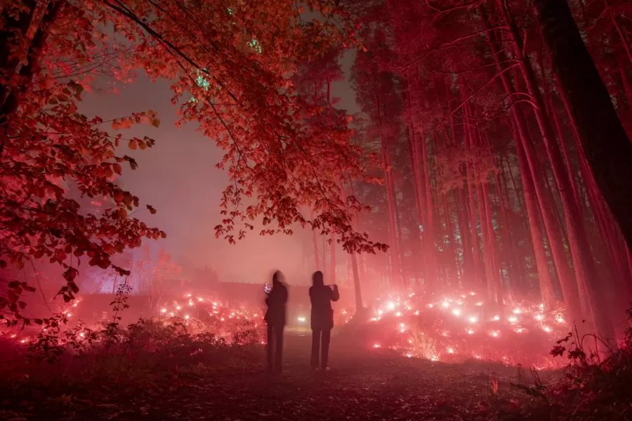 VIŅSAULE. VEĻI — pasākuma foto 15