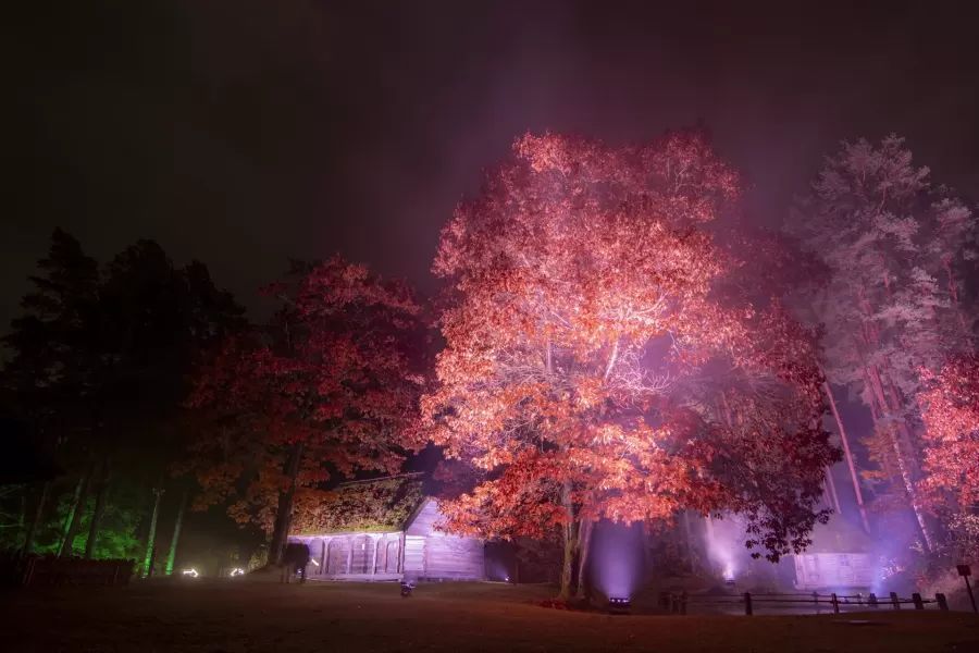 VIŅSAULE. VEĻI — pasākuma foto 14