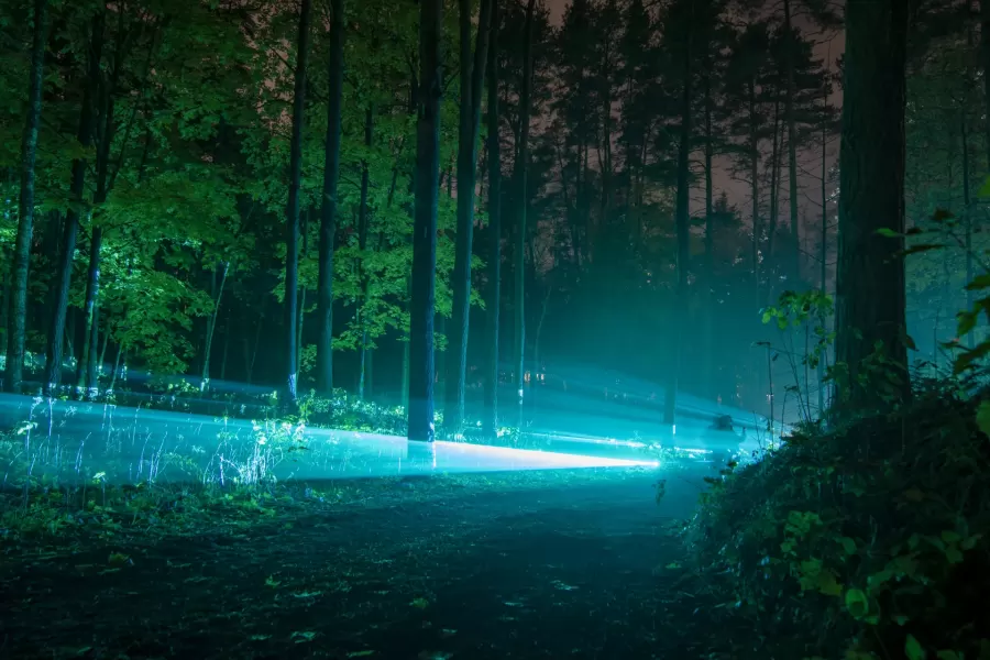 VIŅSAULE. VEĻI — pasākuma foto 17