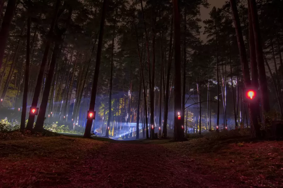VIŅSAULE. VEĻI — pasākuma foto 1