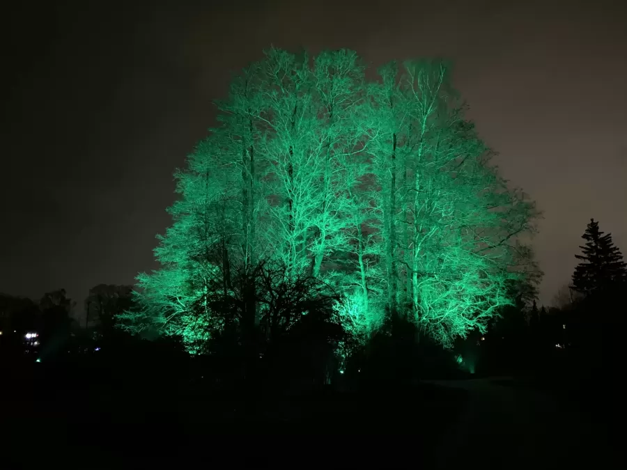 Gaismas instalāciju festivāls "Ziemas gaismas dārzs"