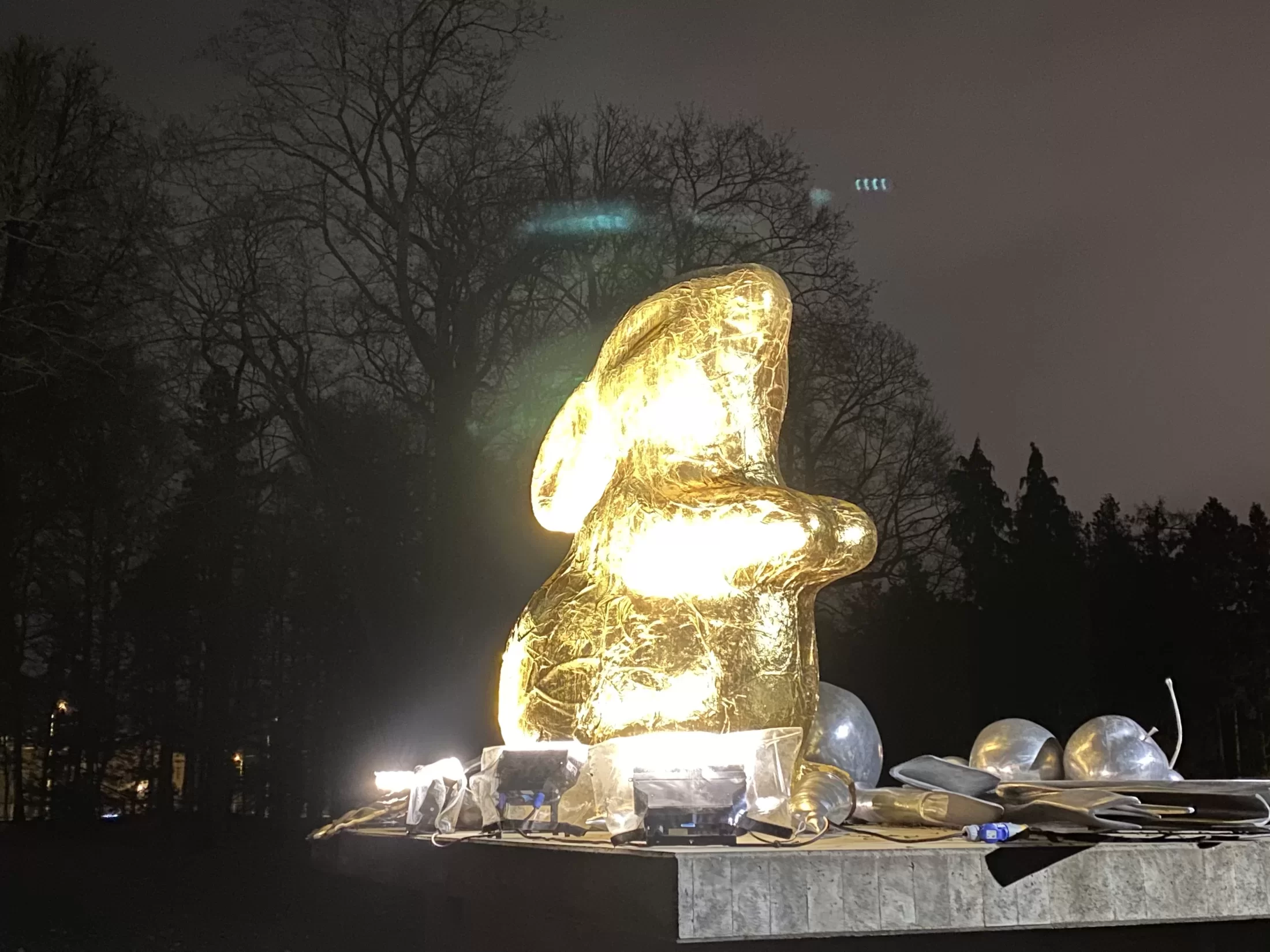 Gaismas instalāciju festivāls "Ziemas gaismas dārzs"