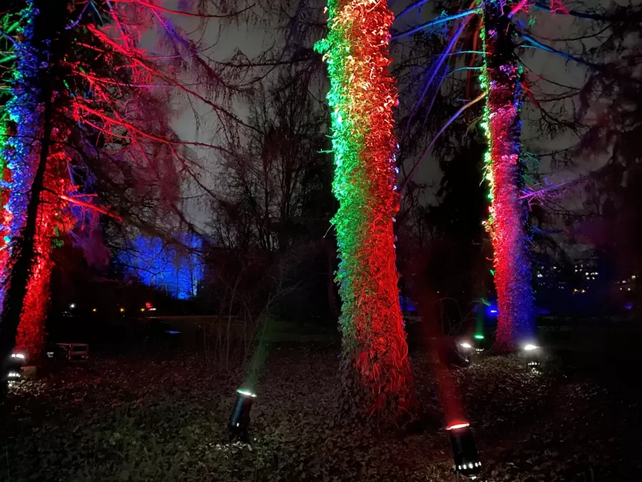 Gaismas instalāciju festivāls "Ziemas gaismas dārzs"