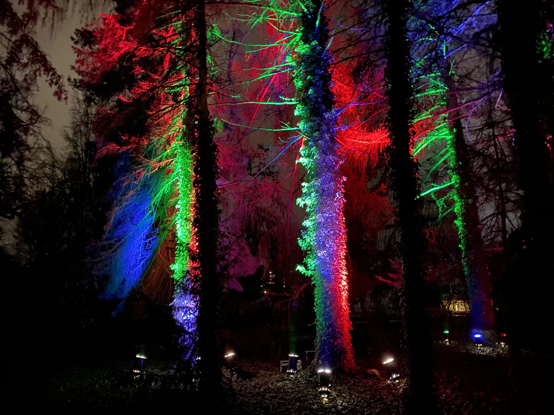 Gaismas instalāciju festivāls "Ziemas gaismas dārzs"
