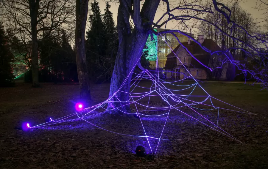 Distancēta pastaigu taka “Ziemas Gaismas dārzs”
