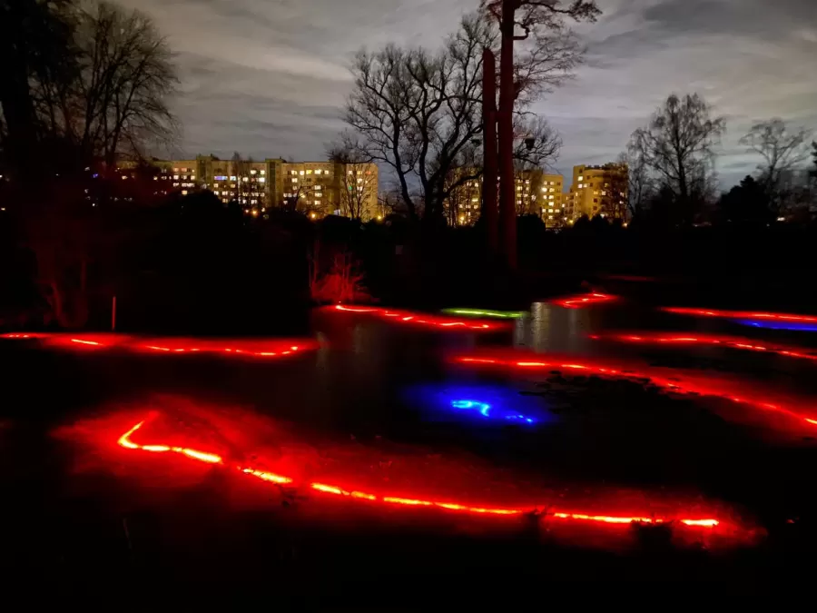 Distancēta pastaigu taka “Ziemas Gaismas dārzs”