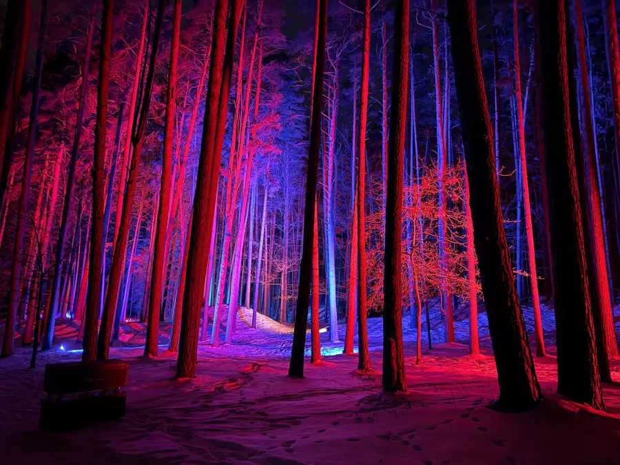 Meteņu laika gaismas taka "Pasaule. Meteņi"