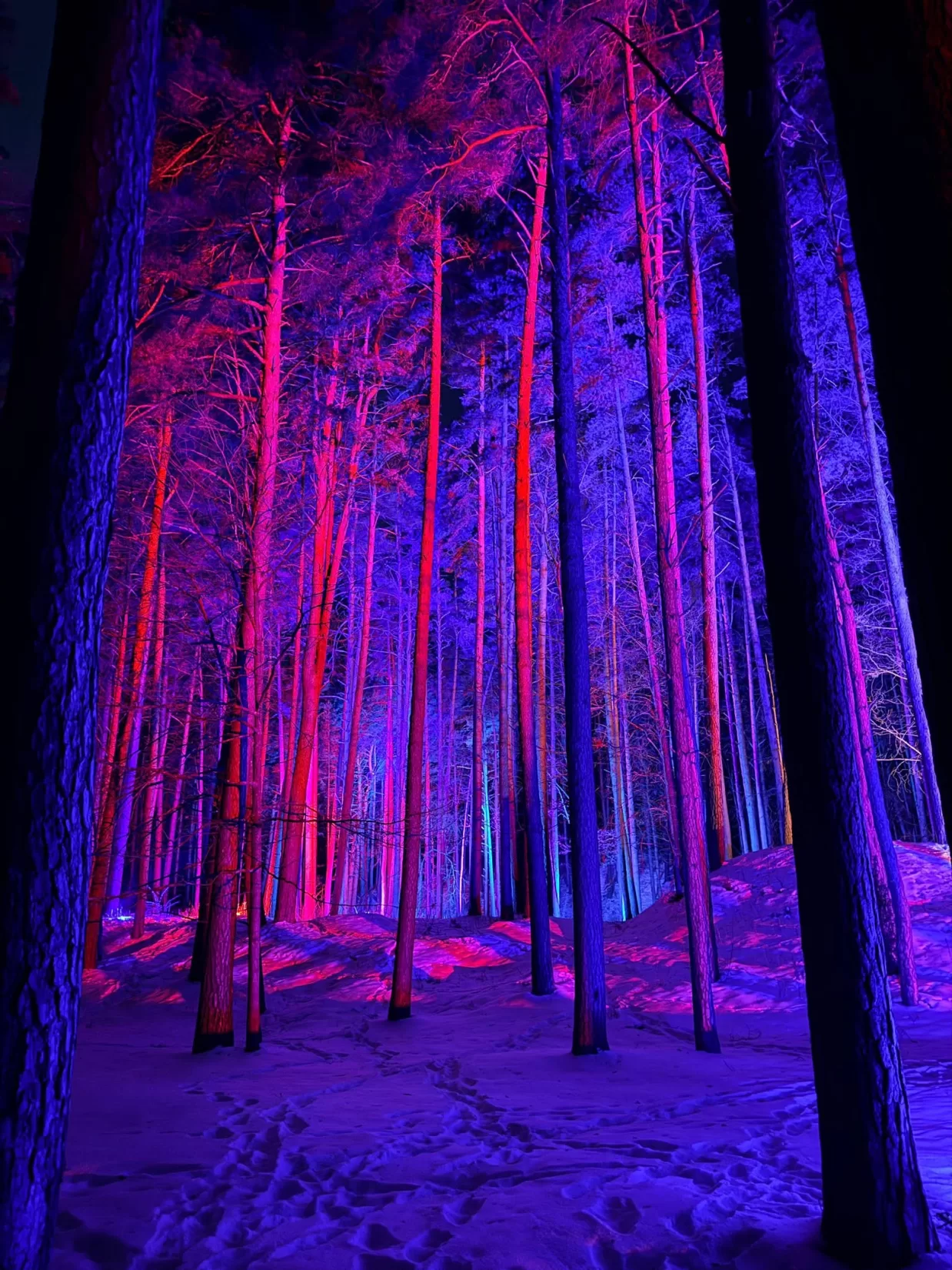 Meteņu laika gaismas taka "Pasaule. Meteņi"