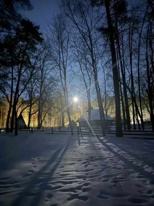 Meteņu laika gaismas taka "Pasaule. Meteņi"