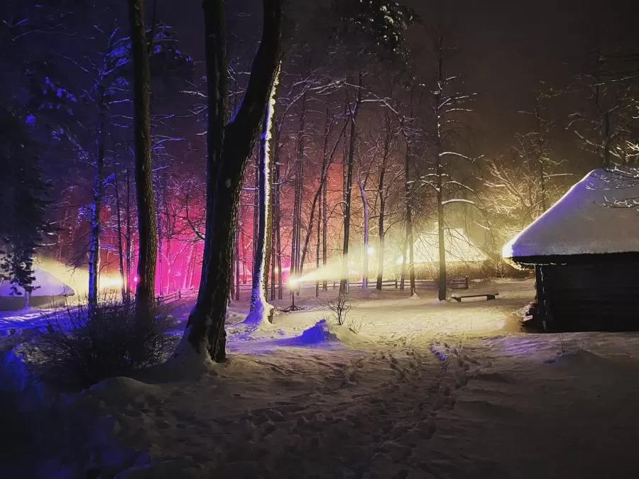 Pastaiga "Ziemas gaismas dārzs. Saulgrieži"