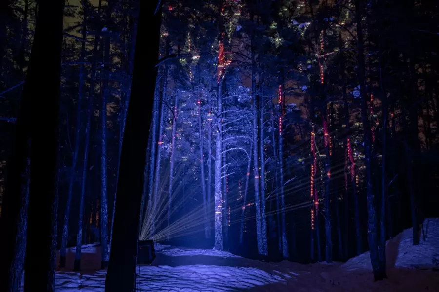 Pastaiga "Ziemas gaismas dārzs. Trejdeviņi"