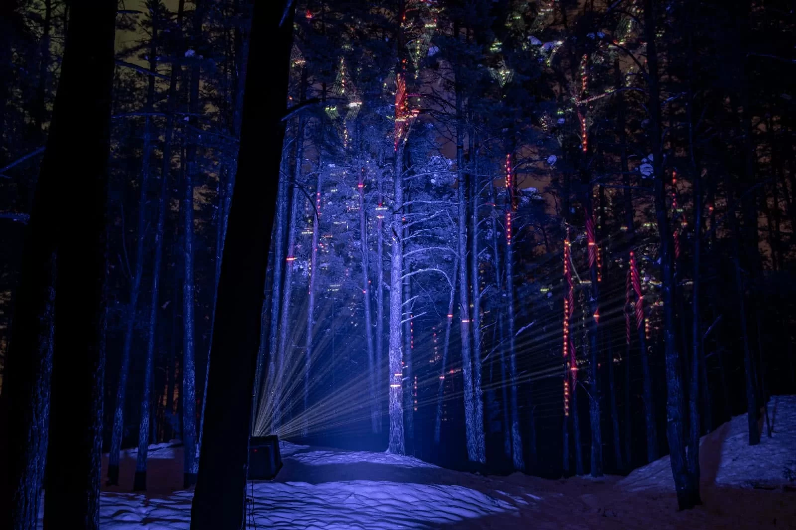 Pastaiga "Ziemas gaismas dārzs. Trejdeviņi"