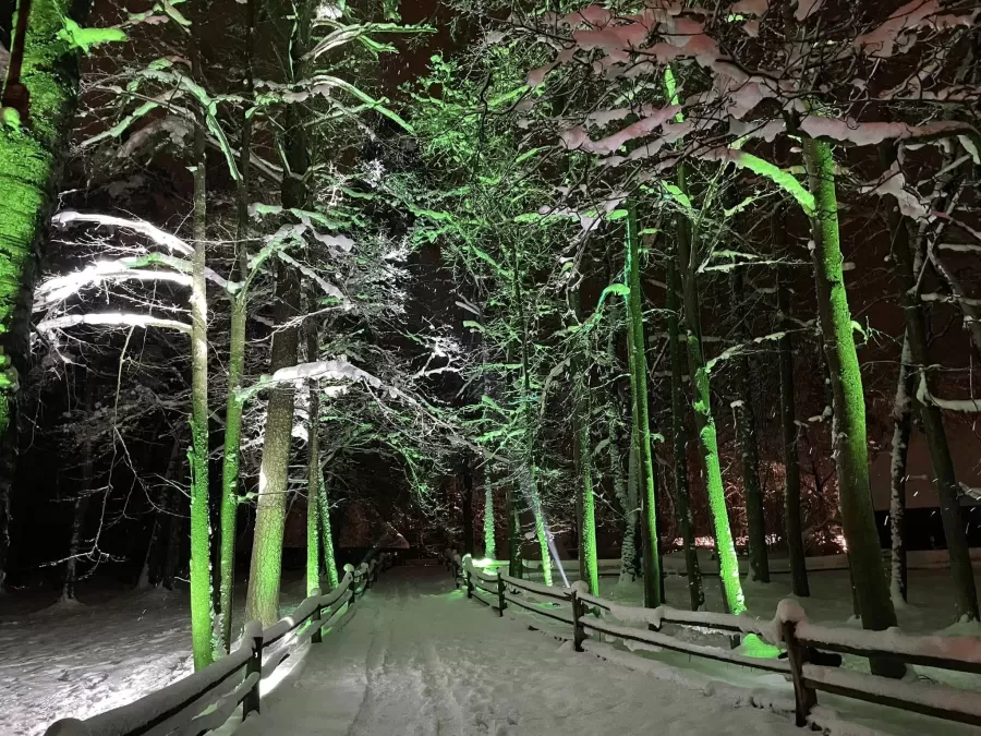 Pastaiga "Ziemas gaismas dārzs. Trejdeviņi"