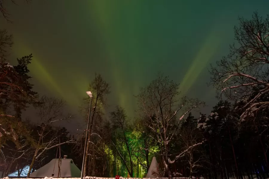Pastaiga "Ziemas gaismas dārzs. Trejdeviņi"