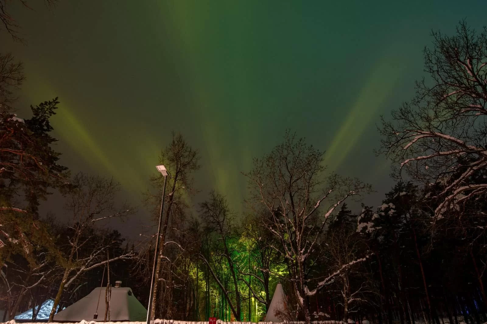 Pastaiga "Ziemas gaismas dārzs. Trejdeviņi"