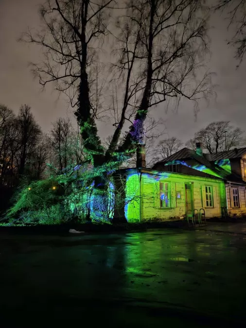 Pastaiga "Ziemas nedarbi"