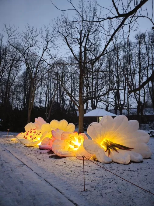 Pastaiga "Ziemas nedarbi"