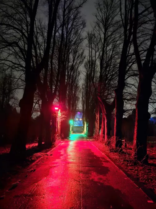 Pastaiga "Ziemas nedarbi"