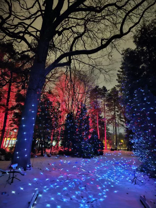 Pastaiga "Ziemas nedarbi"