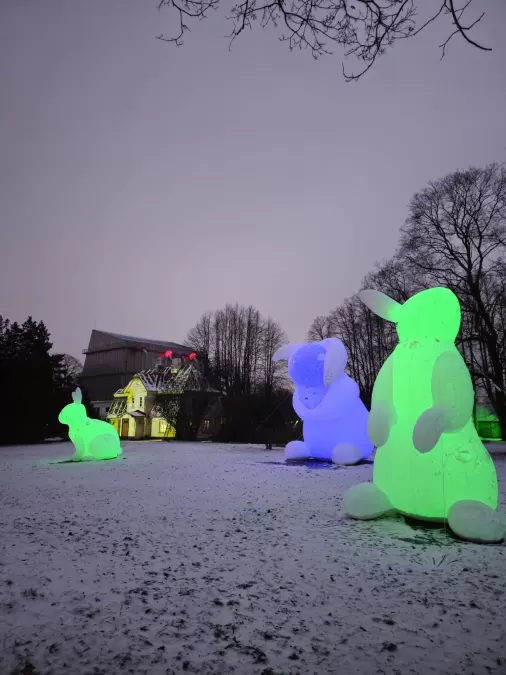 Pastaiga "Ziemas nedarbi"