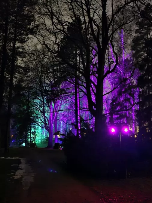 Pastaiga "Ziemas nedarbi"