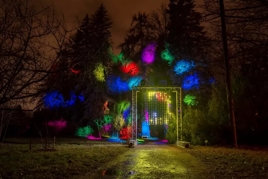 Pastaiga "Ziemas nedarbi. Ziedu stāsti"