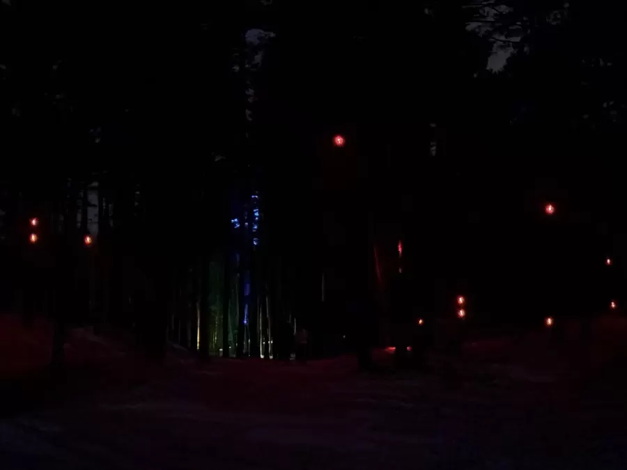 SAULE. ZIEMAS SAULGRIEŽI — pasākuma foto 17