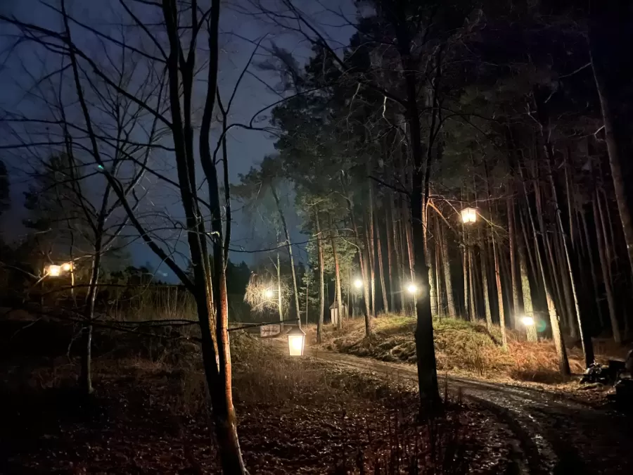 SAULE. ZIEMAS SAULGRIEŽI — pasākuma foto 2