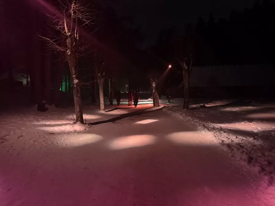 SAULE. ZIEMAS SAULGRIEŽI — pasākuma foto 15