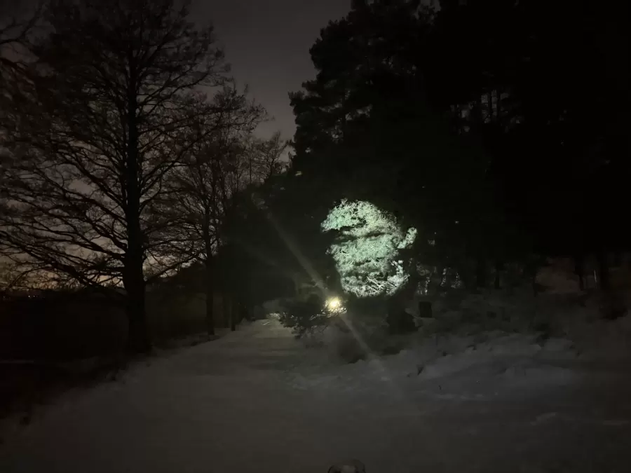 SAULE. ZIEMAS SAULGRIEŽI — pasākuma foto 16