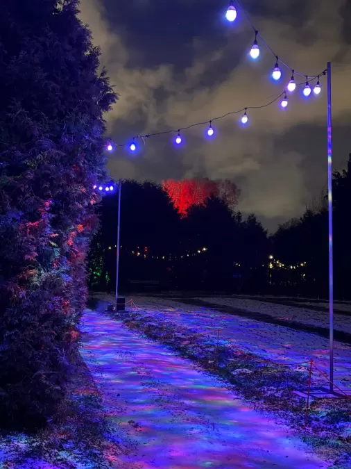 Pastaiga "Ziemas nedarbi 3. Ziedu stāsti"