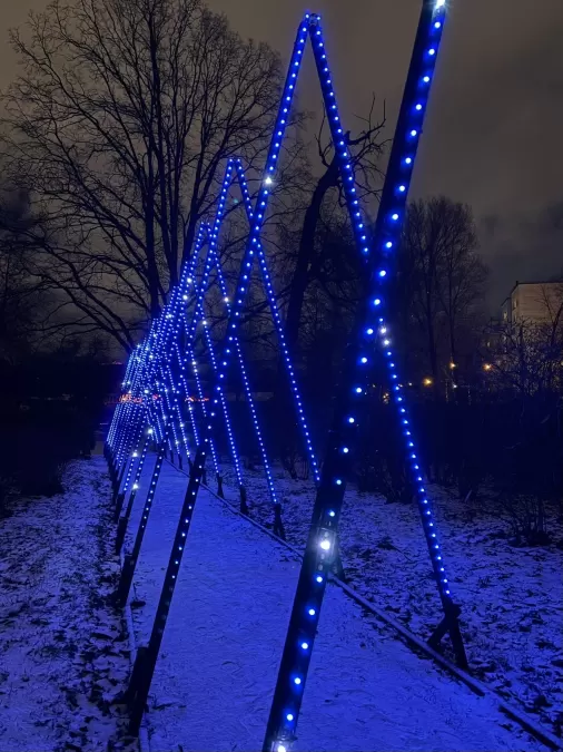 Pastaiga "Ziemas nedarbi 3. Ziedu stāsti"