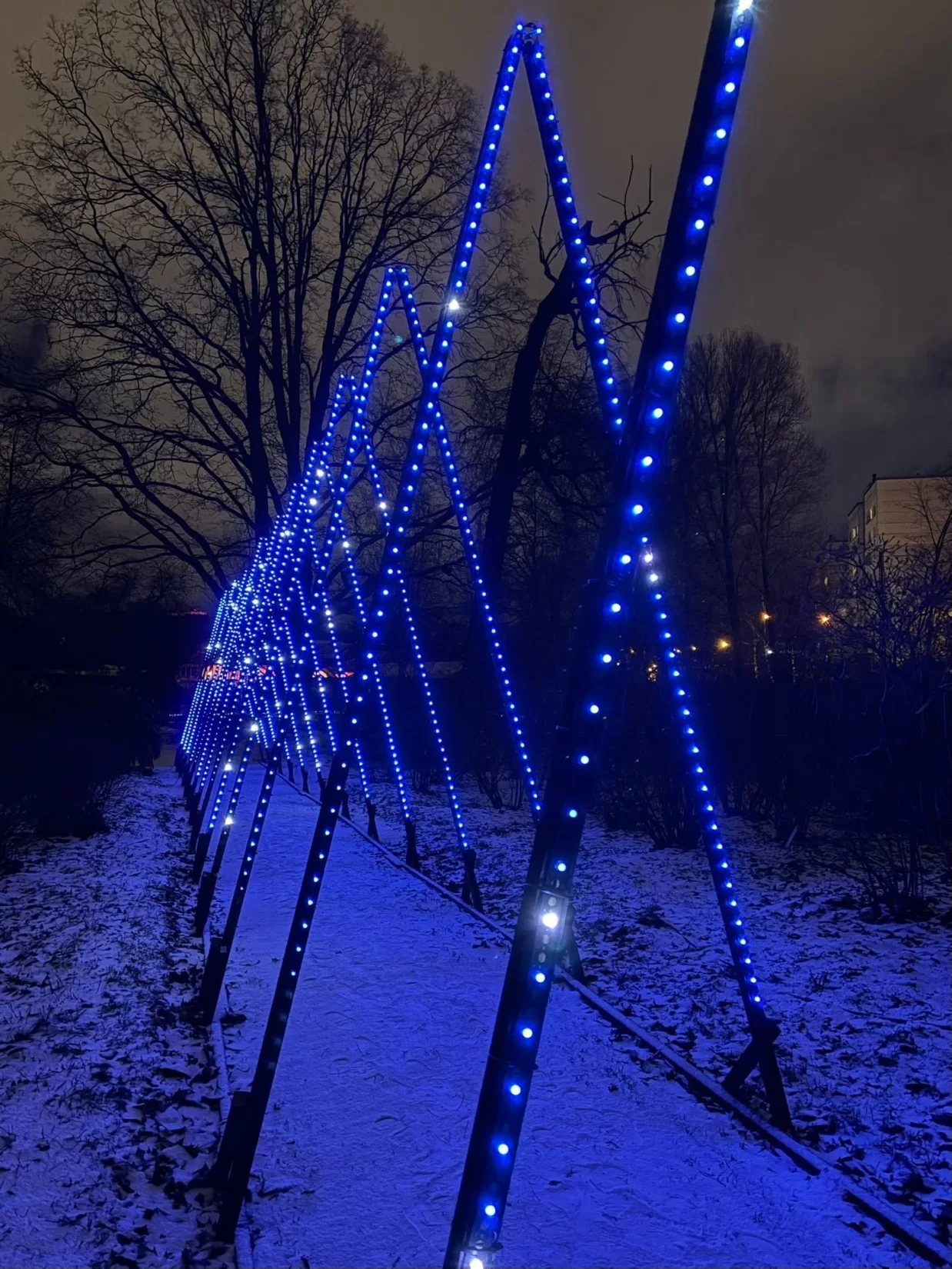 Pastaiga "Ziemas nedarbi 3. Ziedu stāsti"