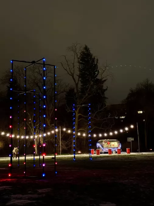 Pastaiga "Ziemas nedarbi 3. Ziedu stāsti"
